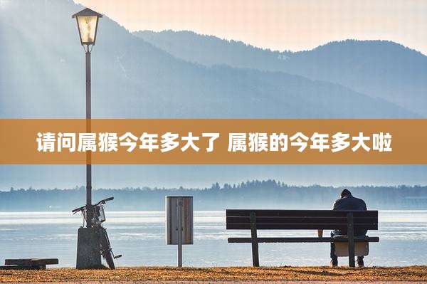 请问属猴今年多大了 属猴的今年多大啦