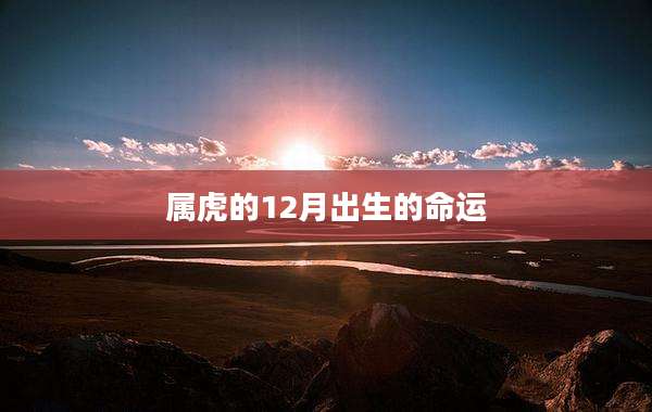 属虎的12月出生的命运