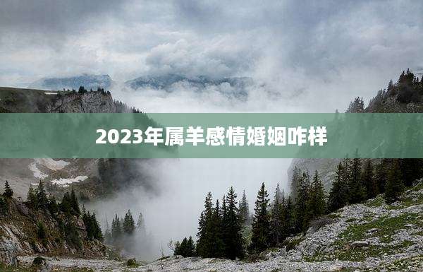 2023年属羊感情婚姻咋样