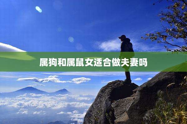 属狗和属鼠女适合做夫妻吗
