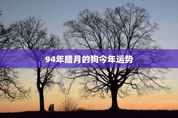 94年腊月的狗今年运势