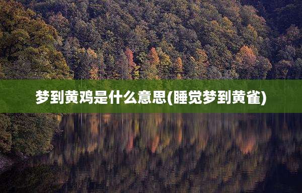 梦到黄鸡是什么意思(睡觉梦到黄雀)