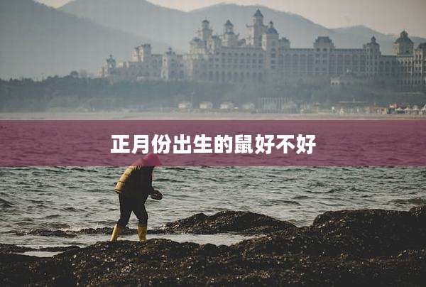 正月份出生的鼠好不好