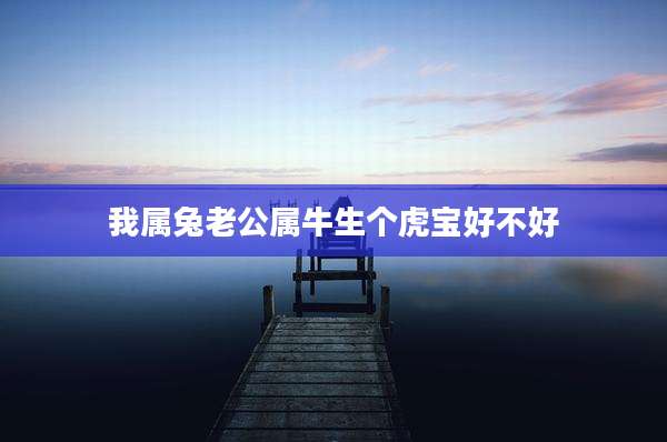 我属兔老公属牛生个虎宝好不好
