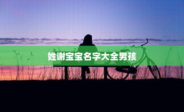 姓谢宝宝名字大全男孩