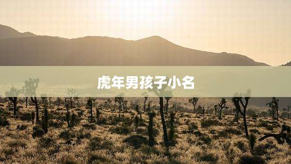 虎年男孩子小名