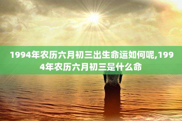 1994年农历六月初三出生命运如何呢,1994年农历六月初三是什么命