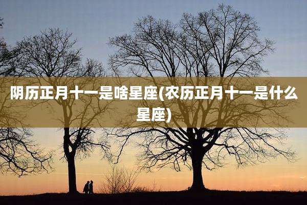 阴历正月十一是啥星座(农历正月十一是什么星座)