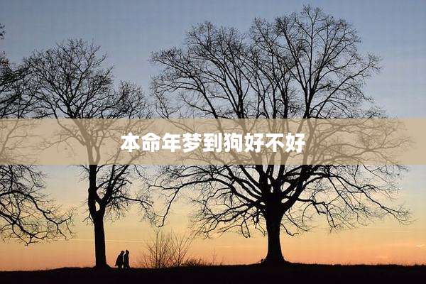 本命年梦到狗好不好