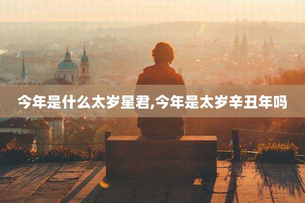 今年是什么太岁星君,今年是太岁辛丑年吗