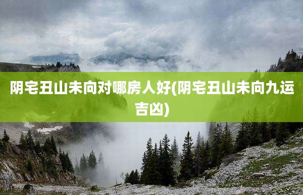阴宅丑山未向对哪房人好(阴宅丑山未向九运吉凶)
