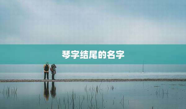 琴字结尾的名字