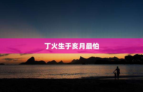 丁火生于亥月最怕