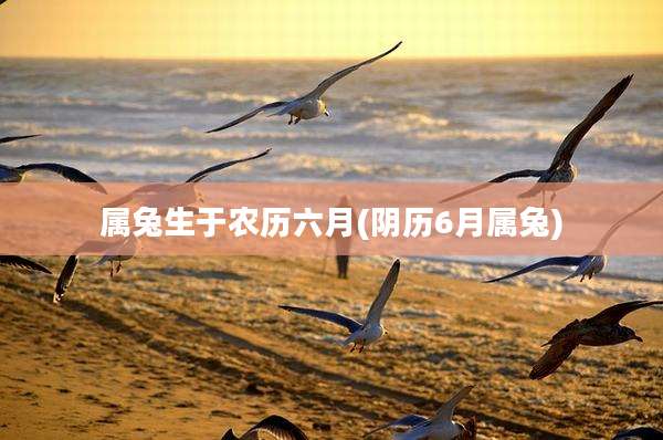 属兔生于农历六月(阴历6月属兔)