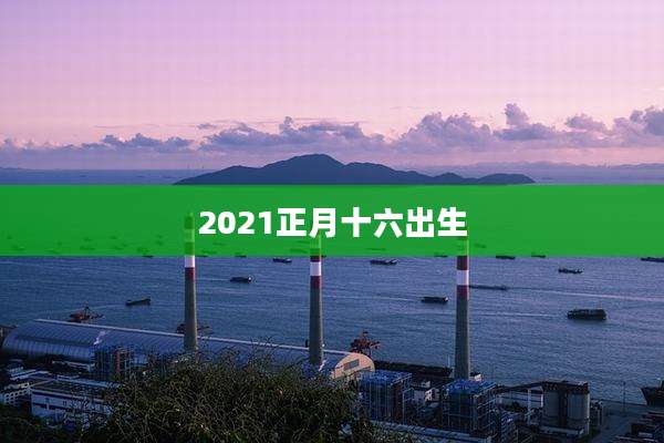 2021正月十六出生