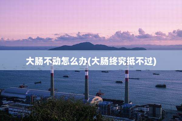 大肠不动怎么办(大肠终究抵不过)