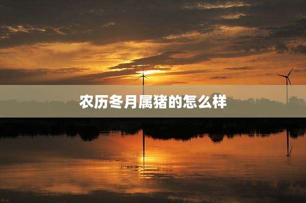 农历冬月属猪的怎么样