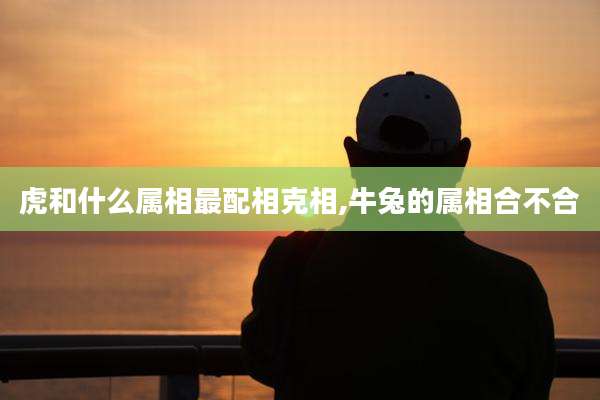 虎和什么属相最配相克相,牛兔的属相合不合