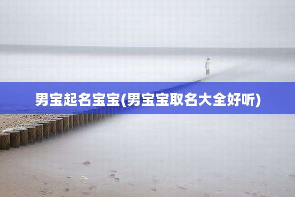 男宝起名宝宝(男宝宝取名大全好听)
