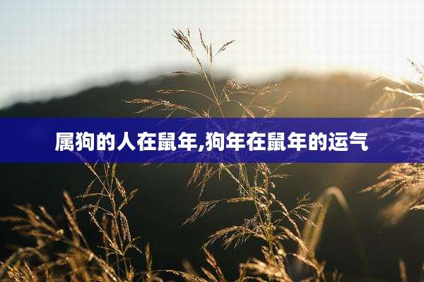 属狗的人在鼠年,狗年在鼠年的运气