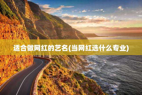 适合做网红的艺名(当网红选什么专业)