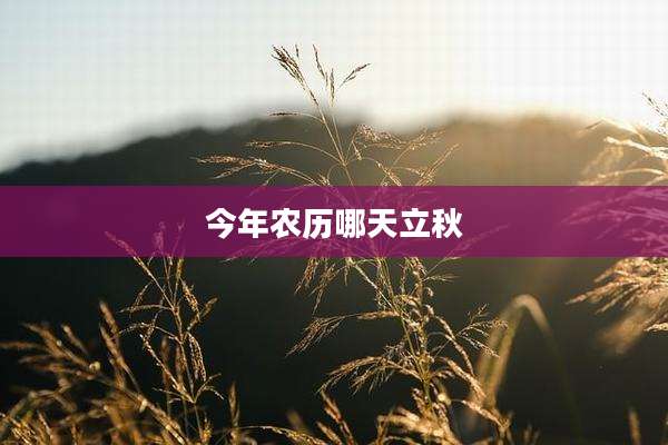 今年农历哪天立秋