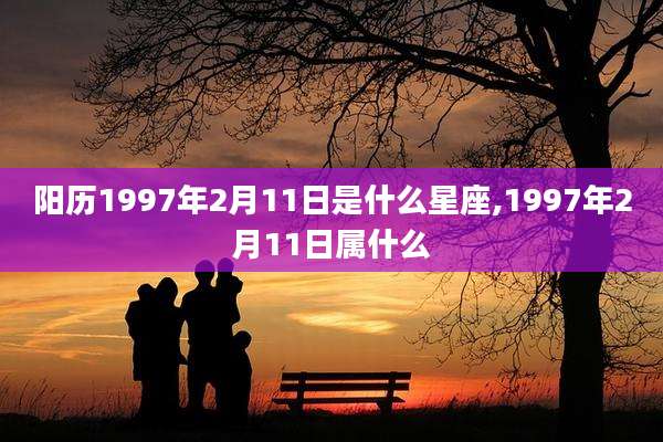 阳历1997年2月11日是什么星座,1997年2月11日属什么