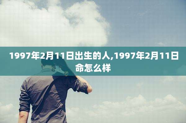 1997年2月11日出生的人,1997年2月11日命怎么样