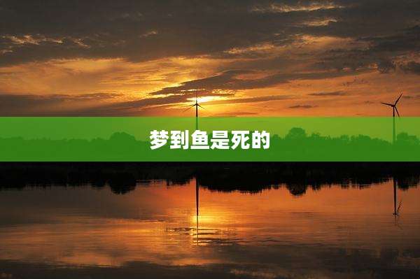 梦到鱼是死的