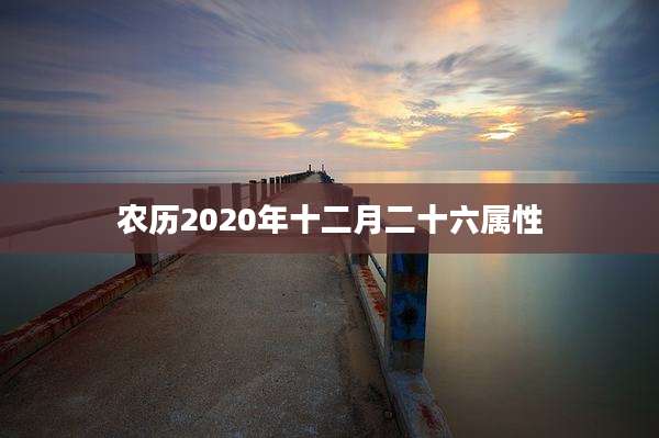 农历2020年十二月二十六属性