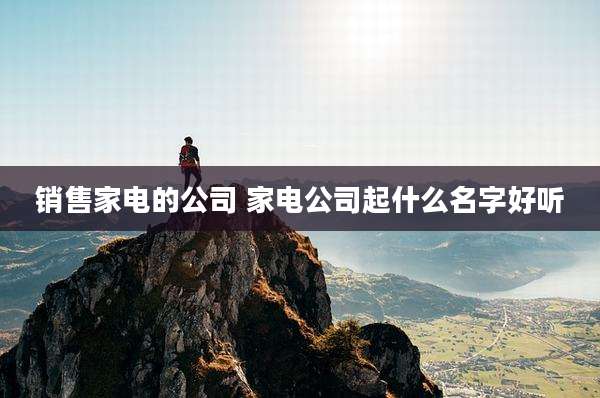 销售家电的公司 家电公司起什么名字好听