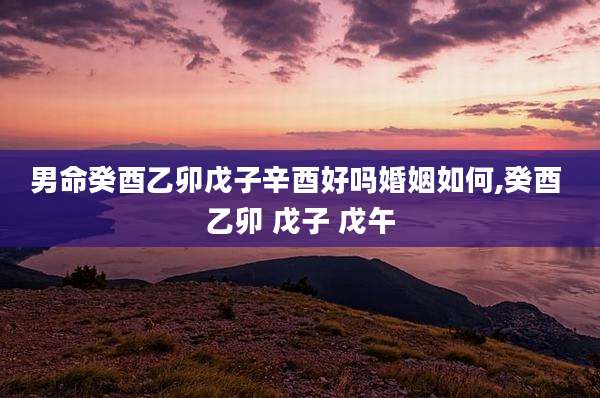 男命癸酉乙卯戊子辛酉好吗婚姻如何,癸酉 乙卯 戊子 戊午