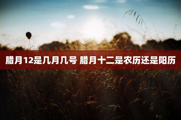 腊月12是几月几号 腊月十二是农历还是阳历