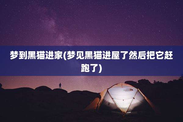 梦到黑猫进家(梦见黑猫进屋了然后把它赶跑了)