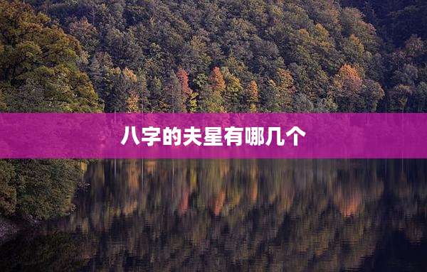 八字的夫星有哪几个