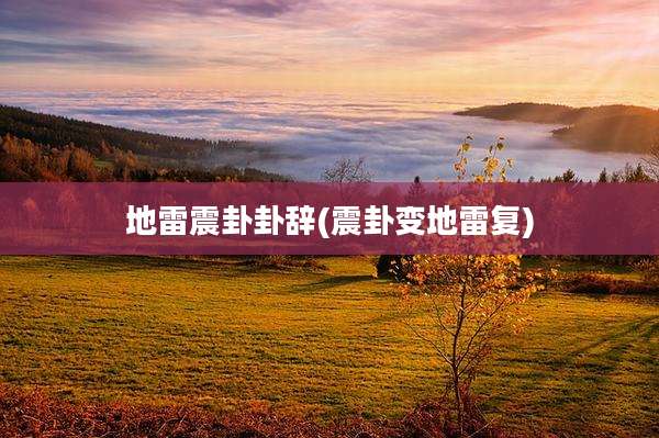 地雷震卦卦辞(震卦变地雷复)