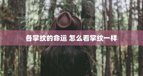 各掌纹的命运 怎么看掌纹一样