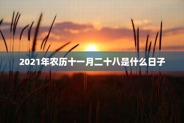 2021年农历十一月二十八是什么日子