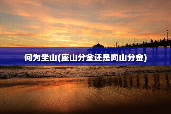 何为坐山(座山分金还是向山分金)