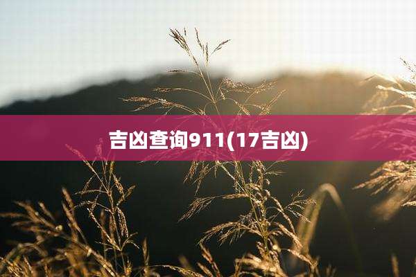 吉凶查询911(17吉凶)