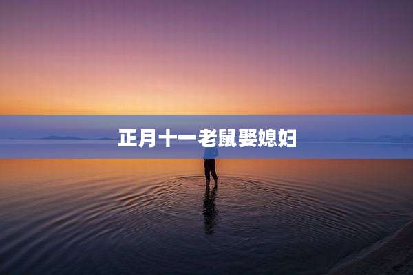 正月十一老鼠娶媳妇