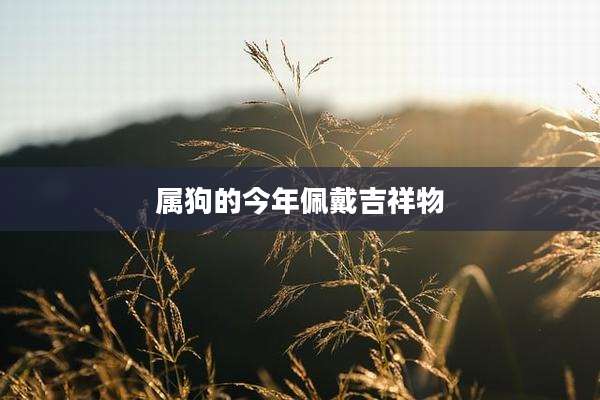 属狗的今年佩戴吉祥物
