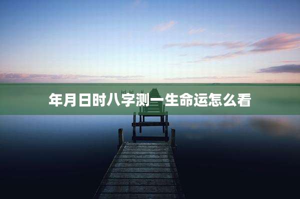 年月日时八字测一生命运怎么看