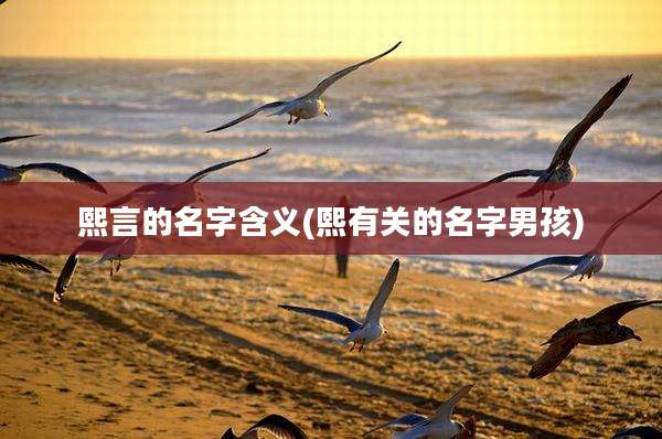 熙言的名字含义(熙有关的名字男孩)