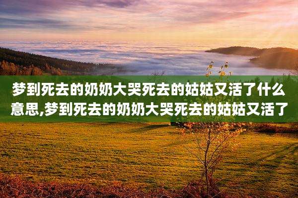 梦到死去的奶奶大哭死去的姑姑又活了什么意思,梦到死去的奶奶大哭死去的姑姑又活了