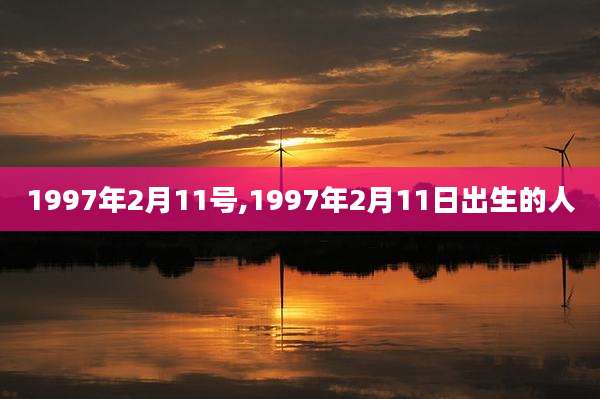 1997年2月11号,1997年2月11日出生的人