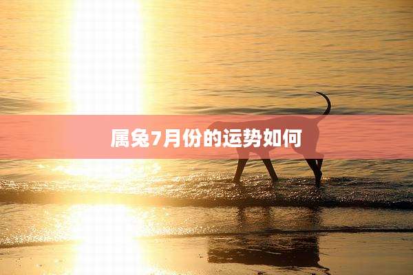 属兔7月份的运势如何