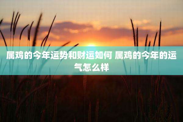 属鸡的今年运势和财运如何 属鸡的今年的运气怎么样