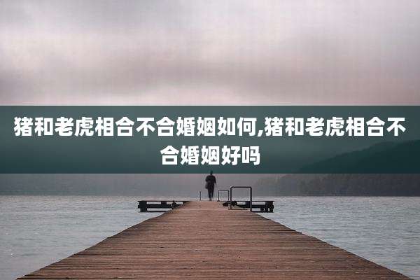 猪和老虎相合不合婚姻如何,猪和老虎相合不合婚姻好吗
