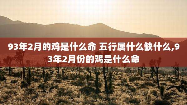 93年2月的鸡是什么命 五行属什么缺什么,93年2月份的鸡是什么命